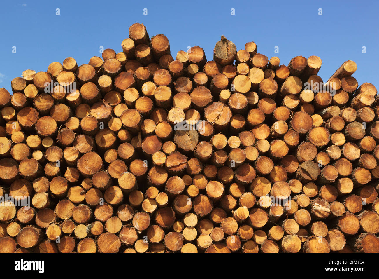 bohonal de ibor, caceres, spain; wood pile Stock Photo