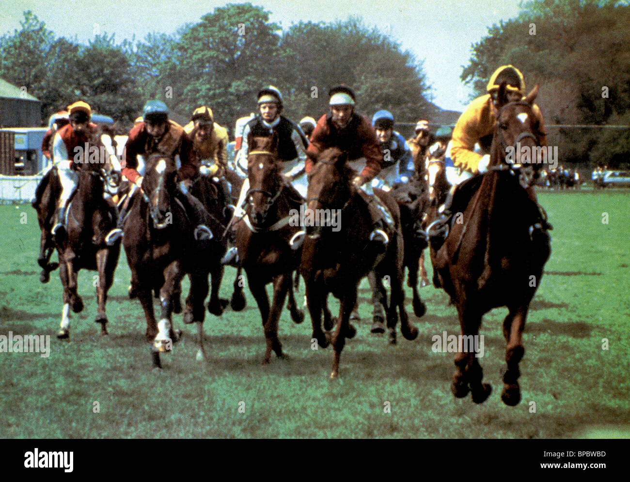 HORSE RACING SCENE CHAMPIONS (1984 Stock Photo - Alamy
