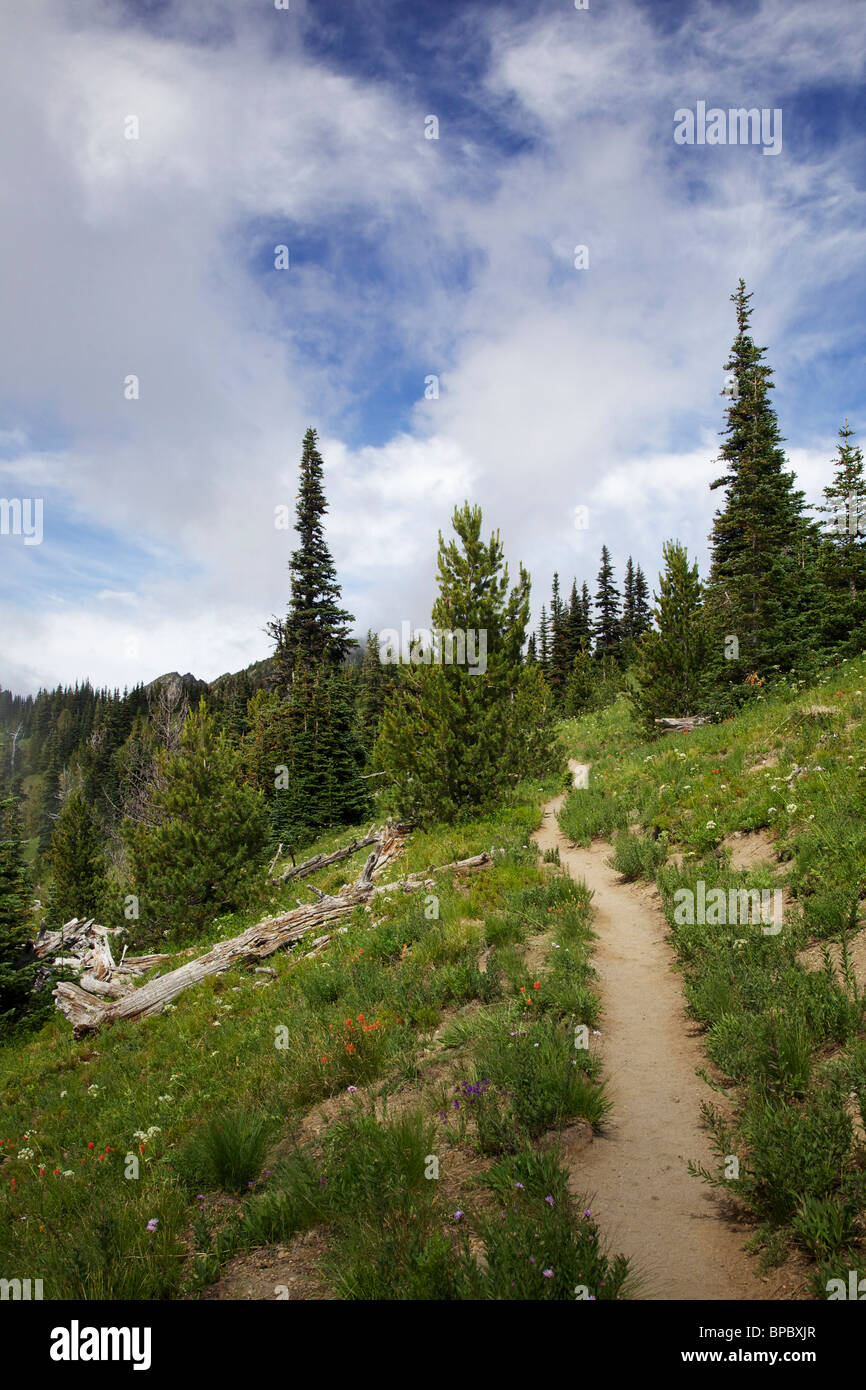 Path through Sunrise Meadow. Mount Rainier National Park, Washington. Stock Photo