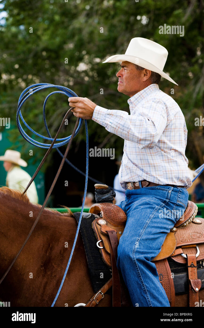 Cowboy on horseback with a lariat waiting for his event, Chaffee County Fair & Rodeo Stock Photo