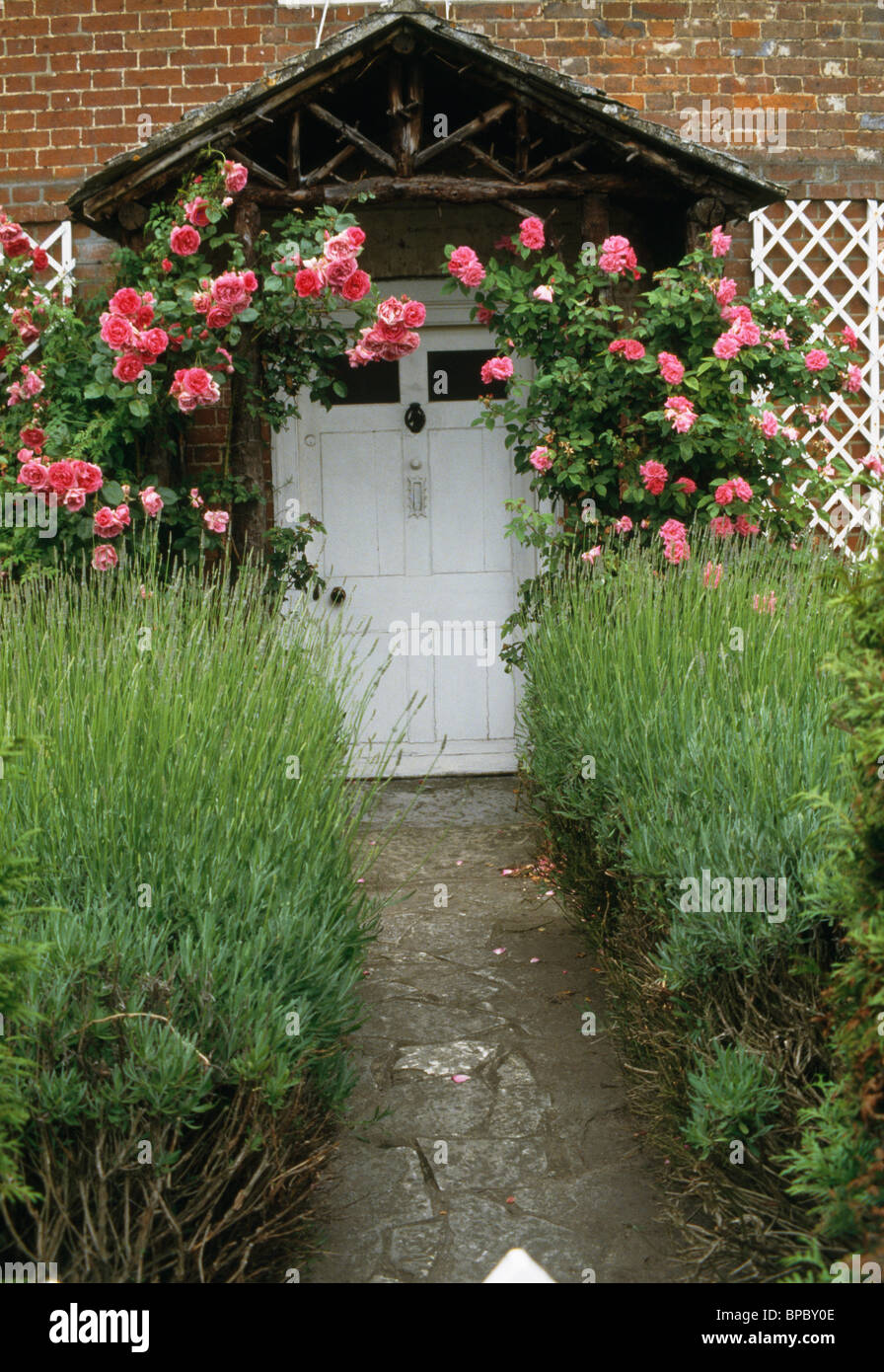 Pink climbing roses on stone hires stock photography and images Alamy