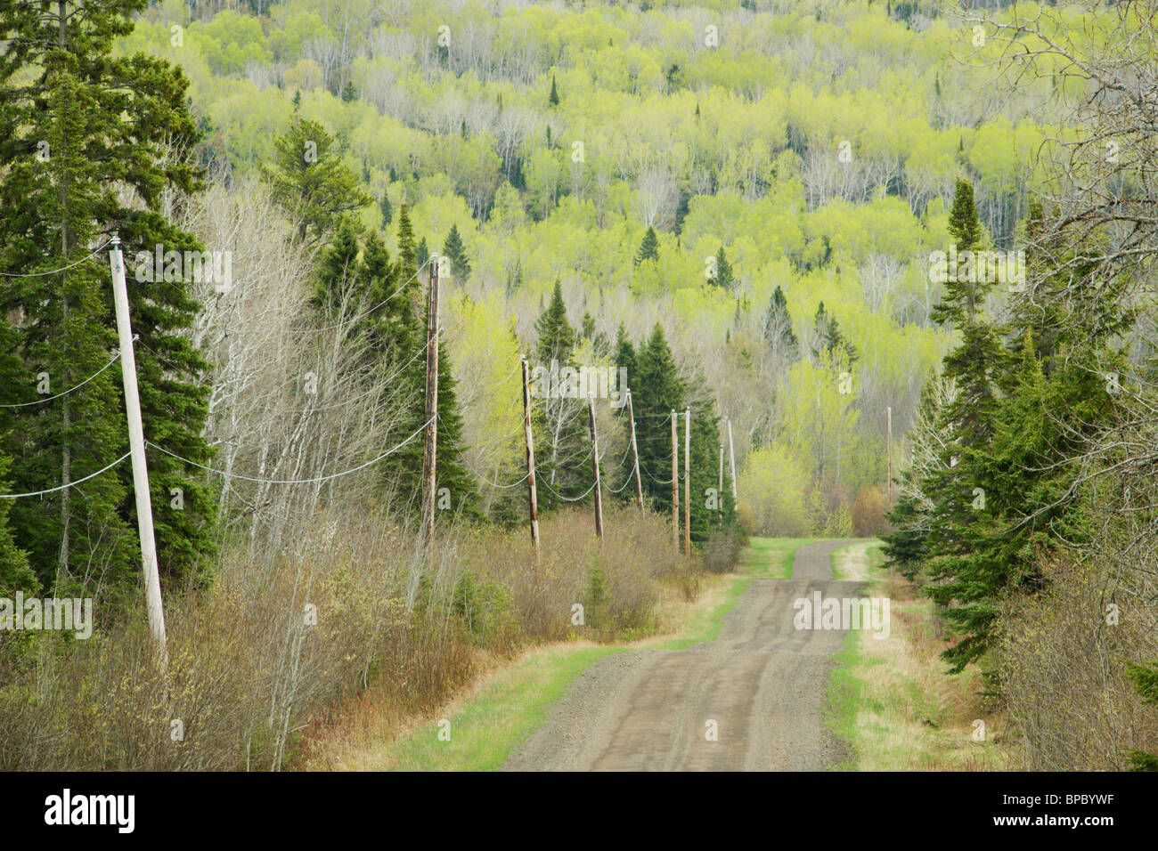 hymers, ontario, canada; electricity wires running along a country road