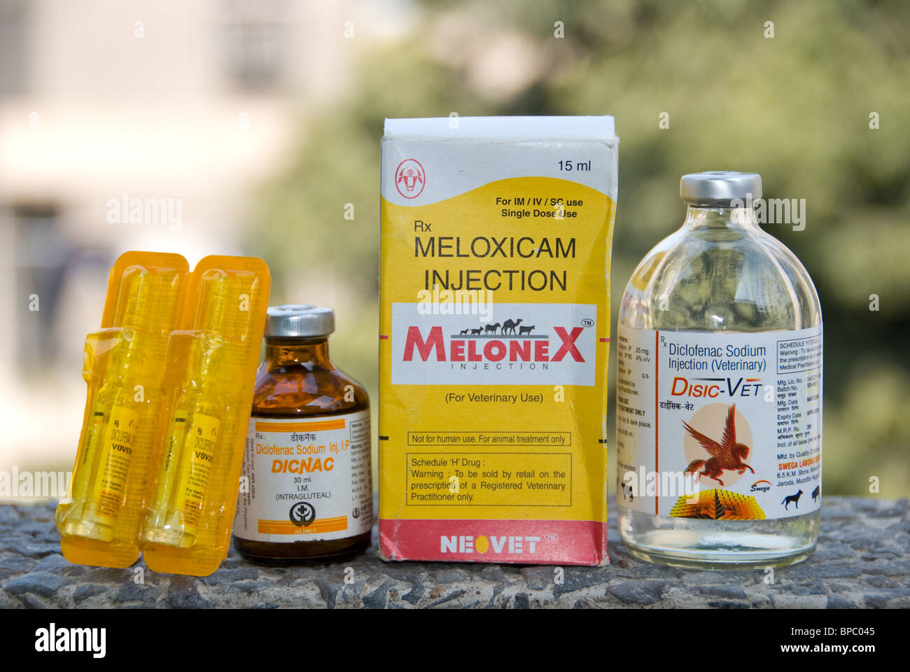 Safe Alternative Meloxicam, safe alternative to Diclofenac Stock