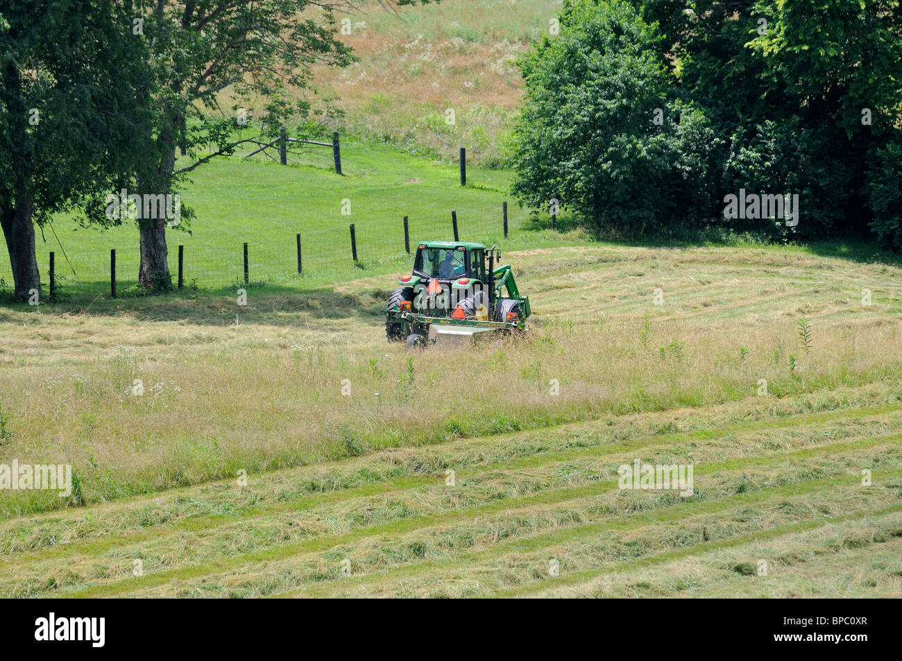 Tractor cutting hay in a field in Kentucky, USA Stock Photo Alamy