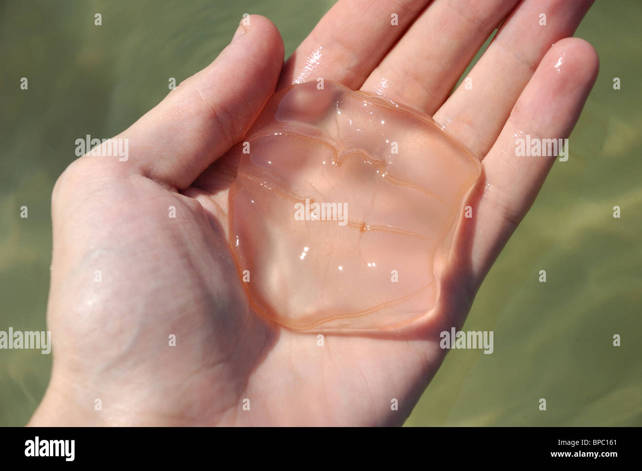 Short handed hi-res stock photography and images - Alamy