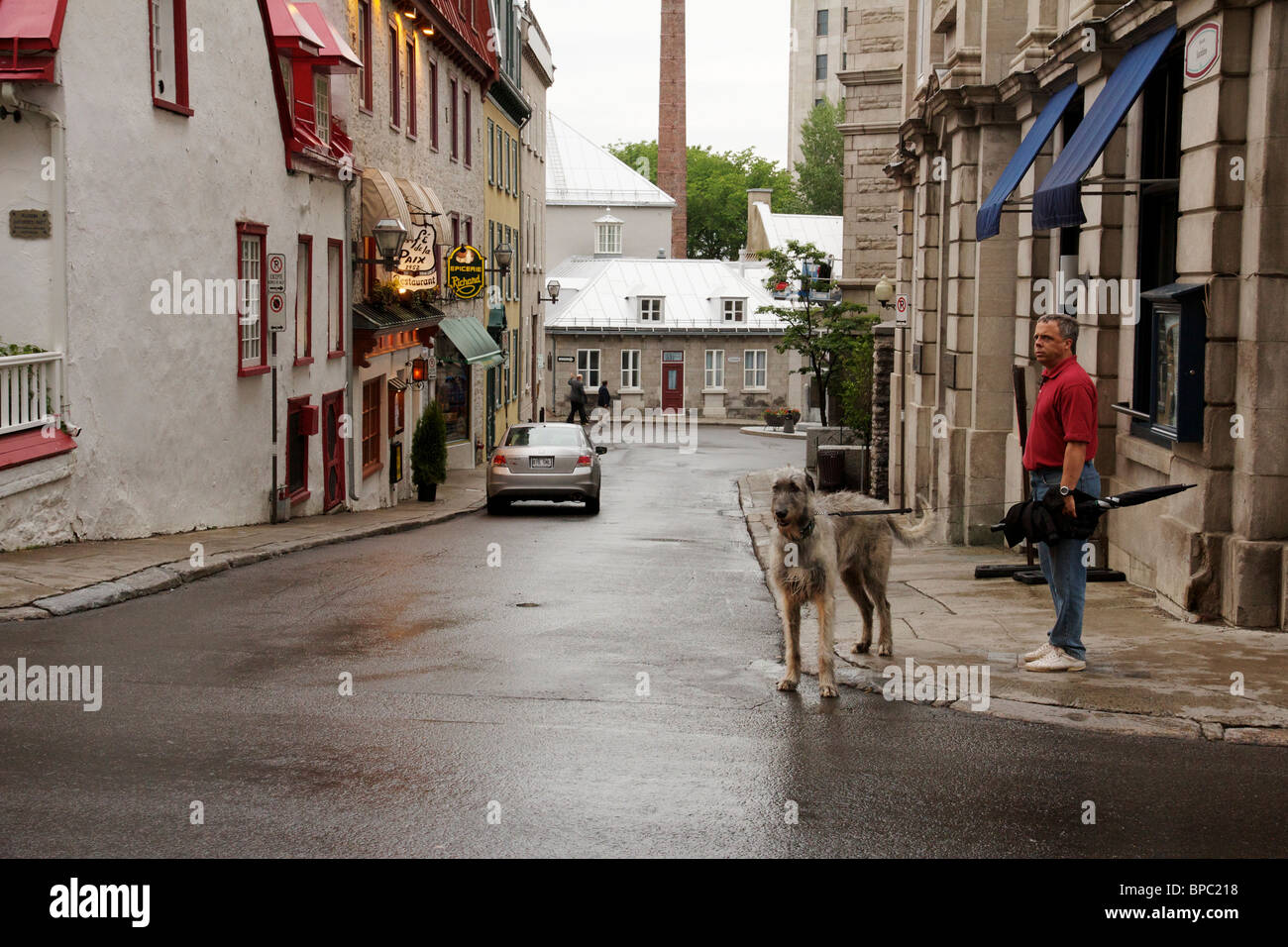 Man with Irish wolfhound. Quebec City, Canada. Stock Photo