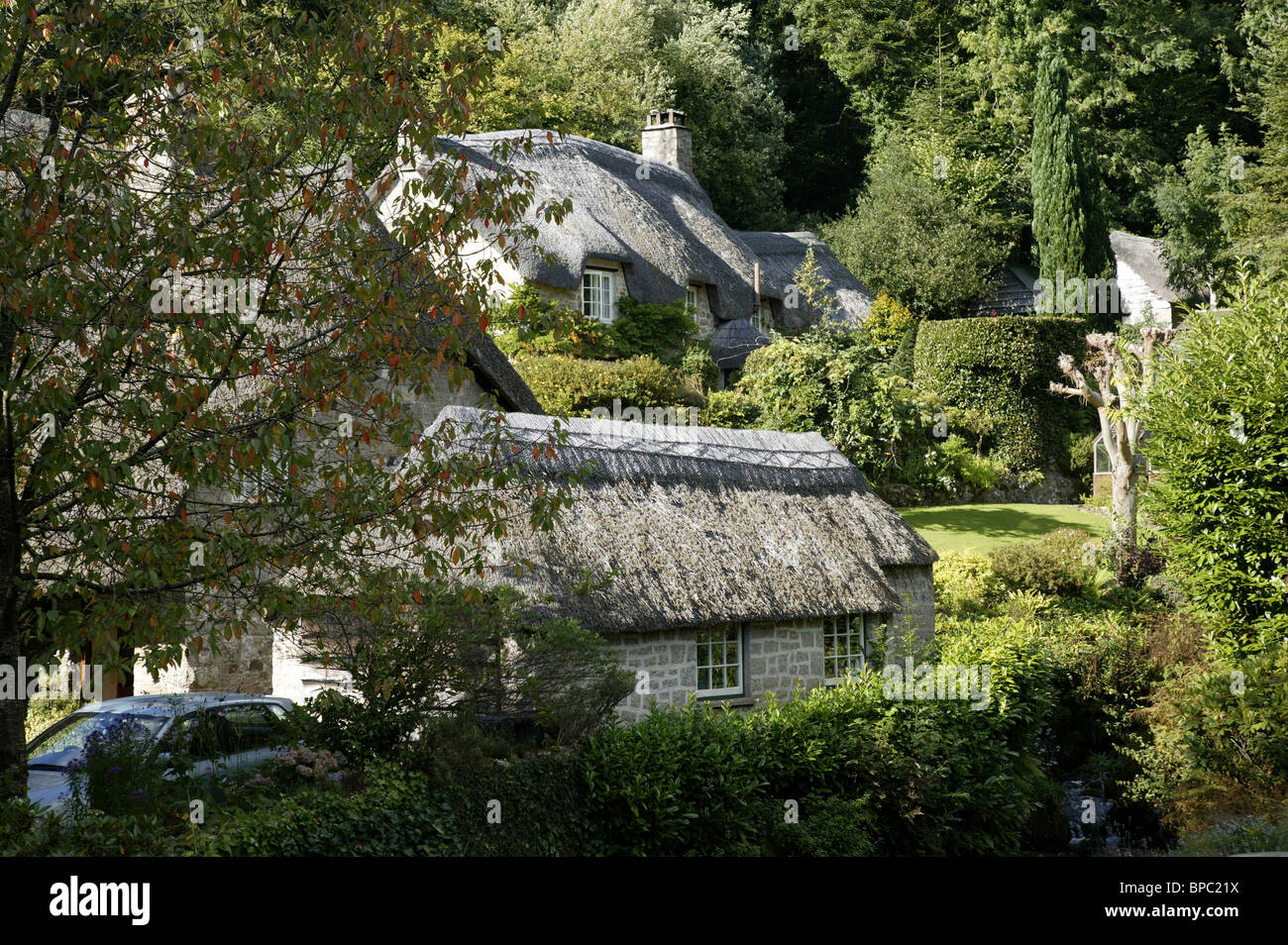 Buckland in the moor hires stock photography and images Alamy