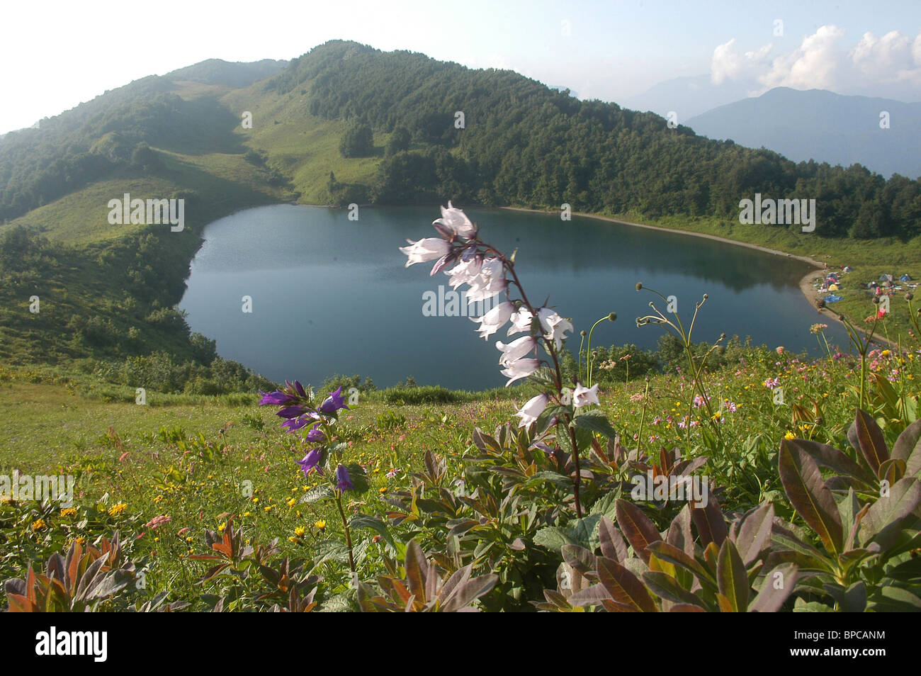 Caucasus State Biosphere Nature Reserve: detailed information Caucasus State Biosphere Nature Reserve: detailed information