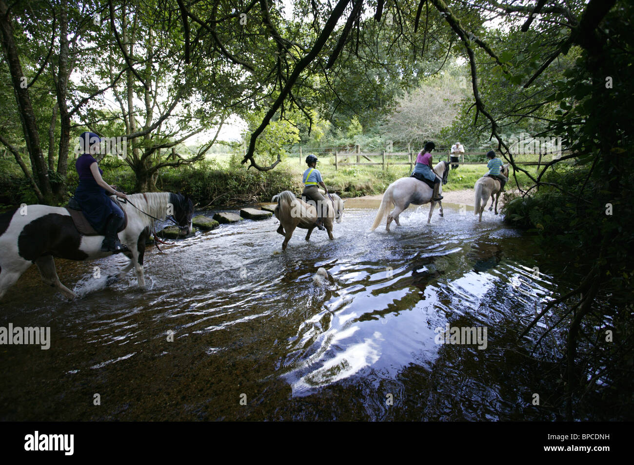 Riding on horseback through the woods hires stock photography and
