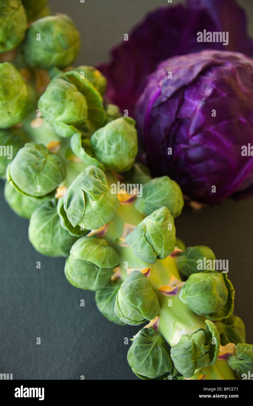 Brussels sprouts on stalk Stock Photo Alamy