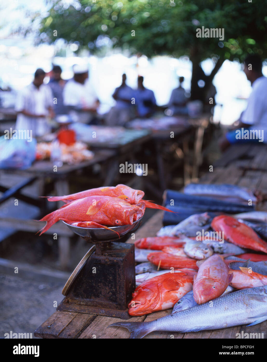 Outdoor fish market grand baie hires stock photography and images Alamy
