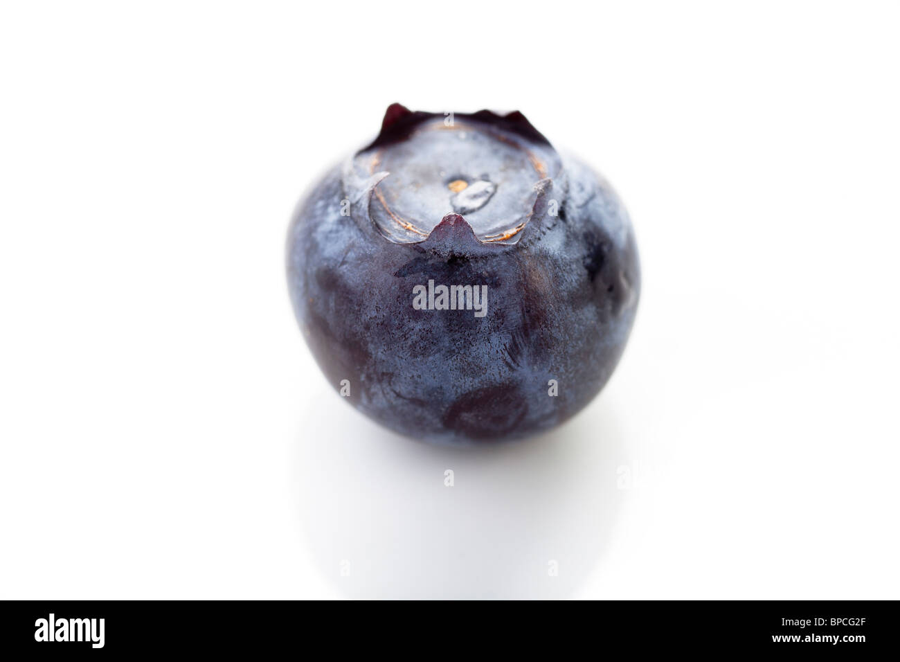 Closeup of blueberry isolated on white. Stock Photo