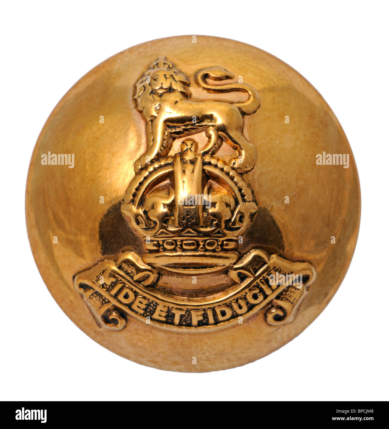 British Military Button - Royal Army Pay Corps / RAPC Stock Photo - Alamy
