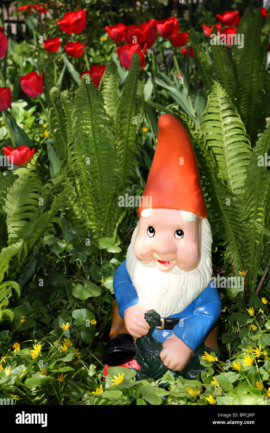 Garden gnome sitting among fern and tulips Stock Photo