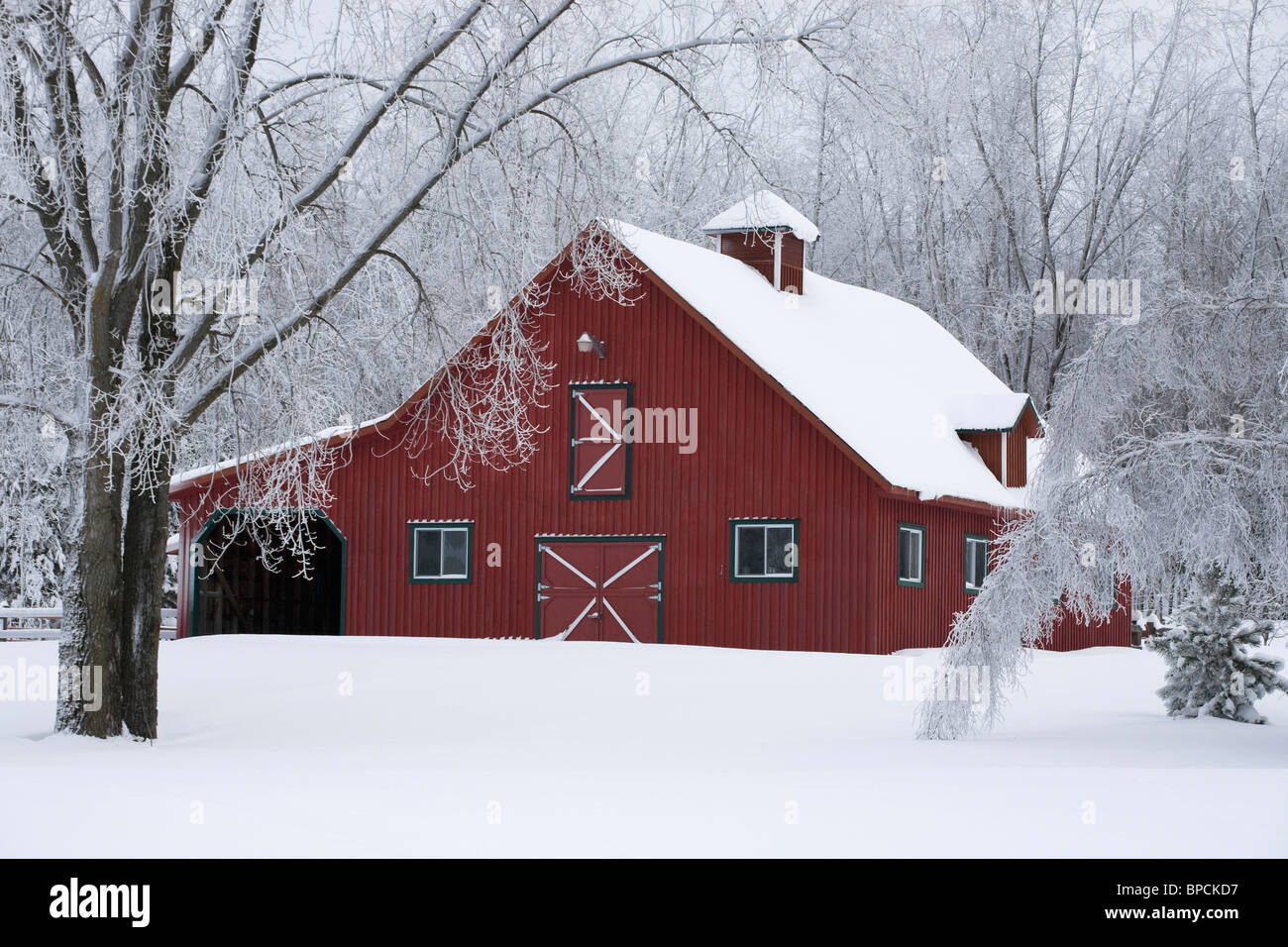 iron hill, quebec, canada; a red barn covered with snow in winter Stock