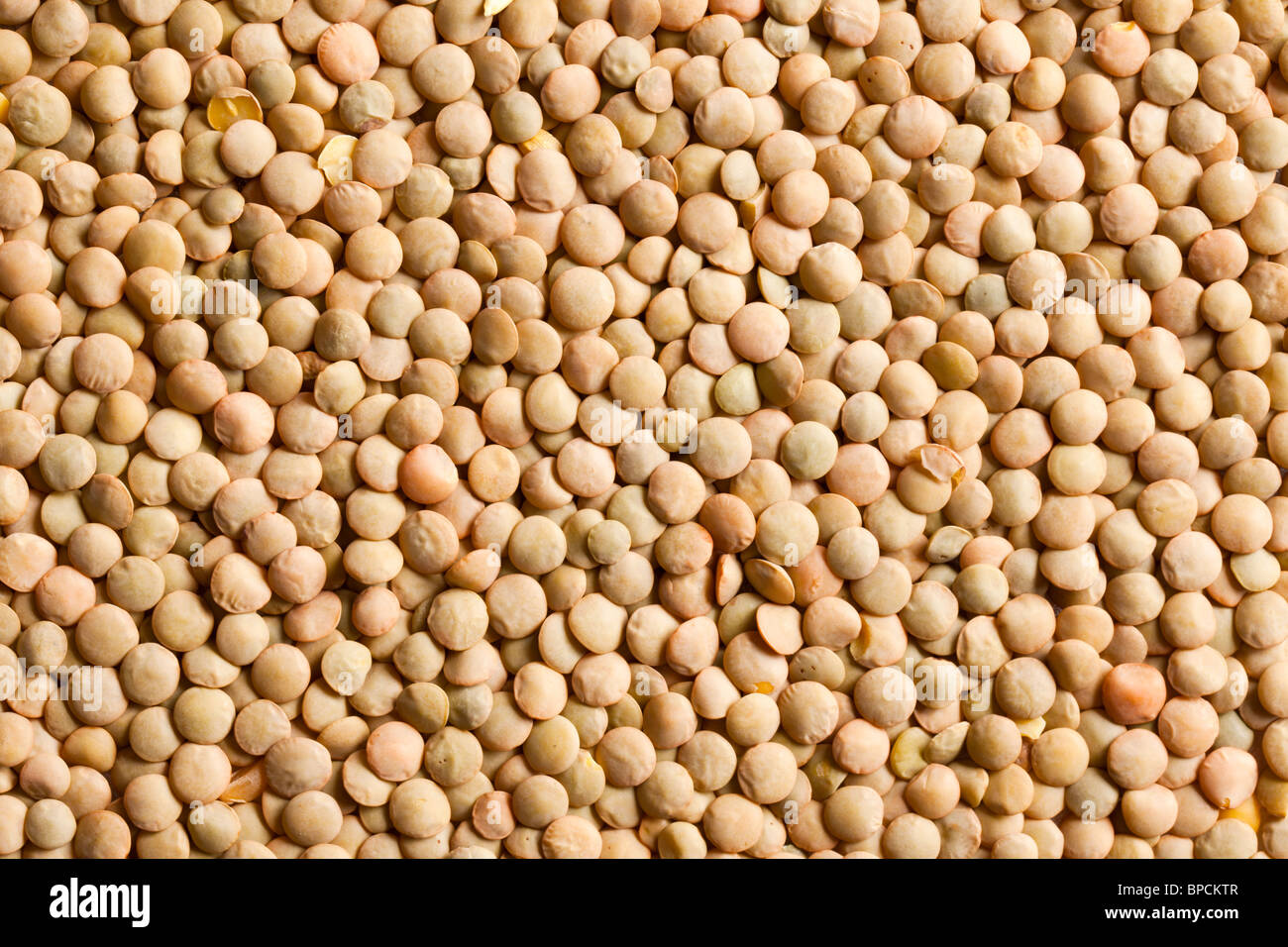 Lantis Seed Lentil seed hi-res stock photography and images - Alamy