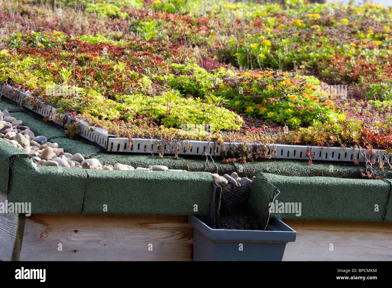 green planted roof derbyshire peak district national park england Stock ...