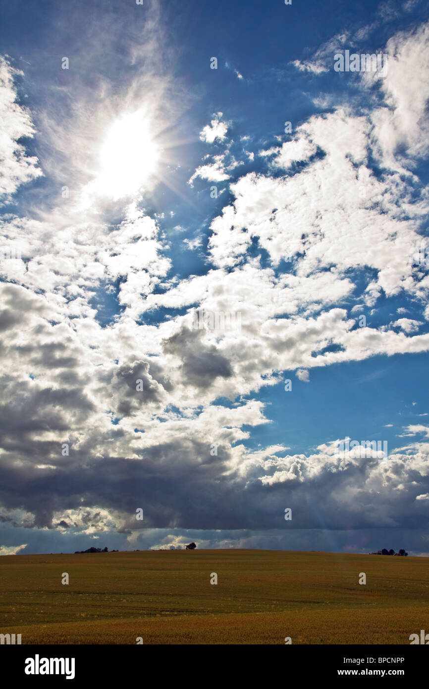 Denmark 2010. Typical summer rye field and dramatic sky. Portrait Stock ...