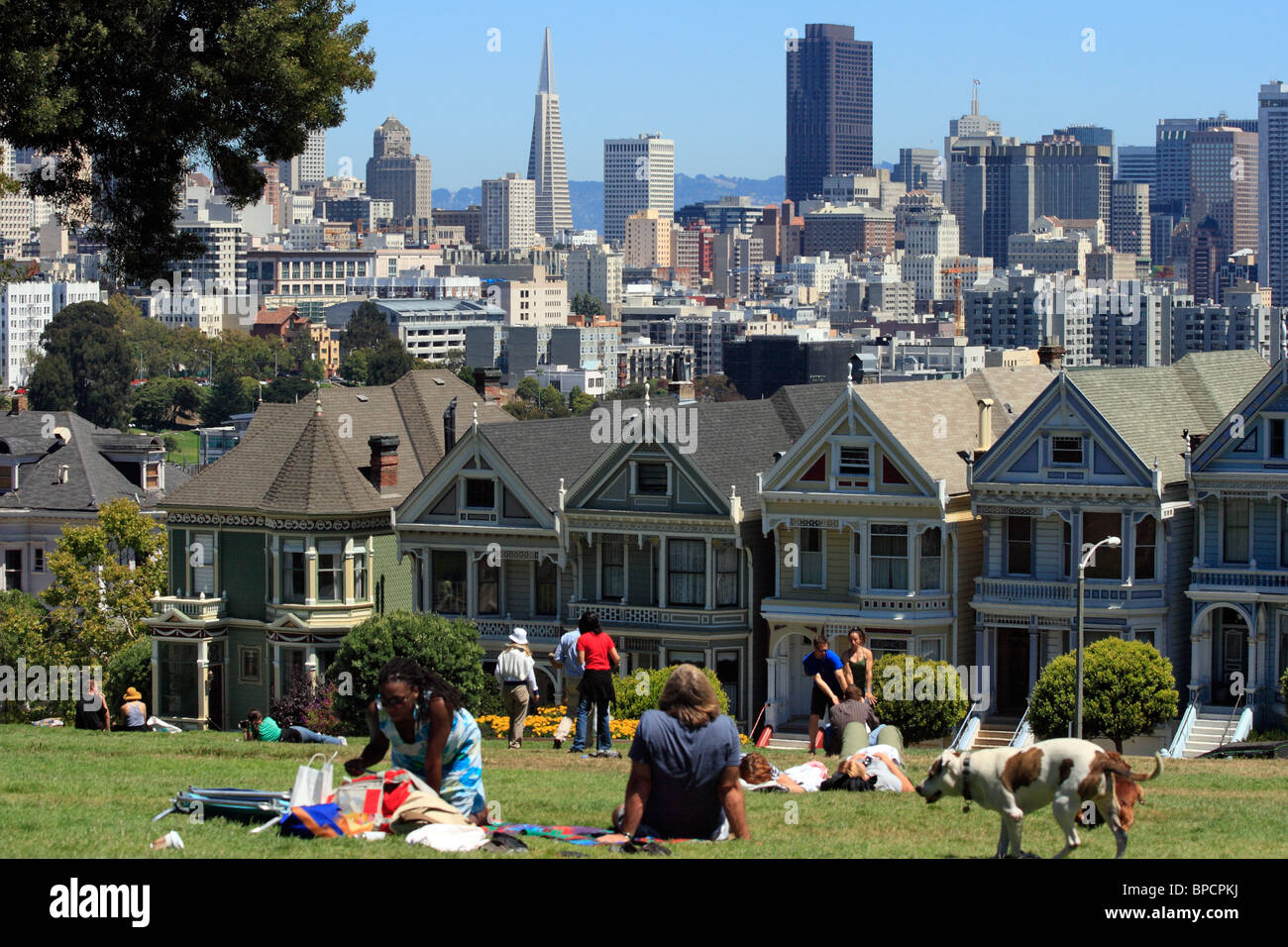 So-called Painted Ladies, historic apartment houses near Alamo Square, San Francisco, USA Stock Photo