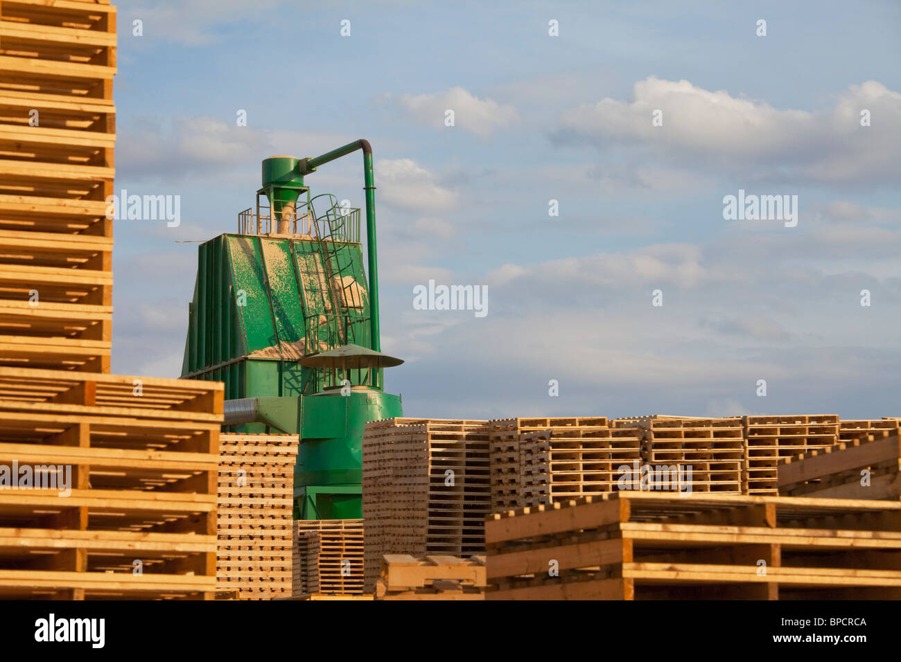 edmonton, alberta, canada; sawmill for wooden pallet manufacturing