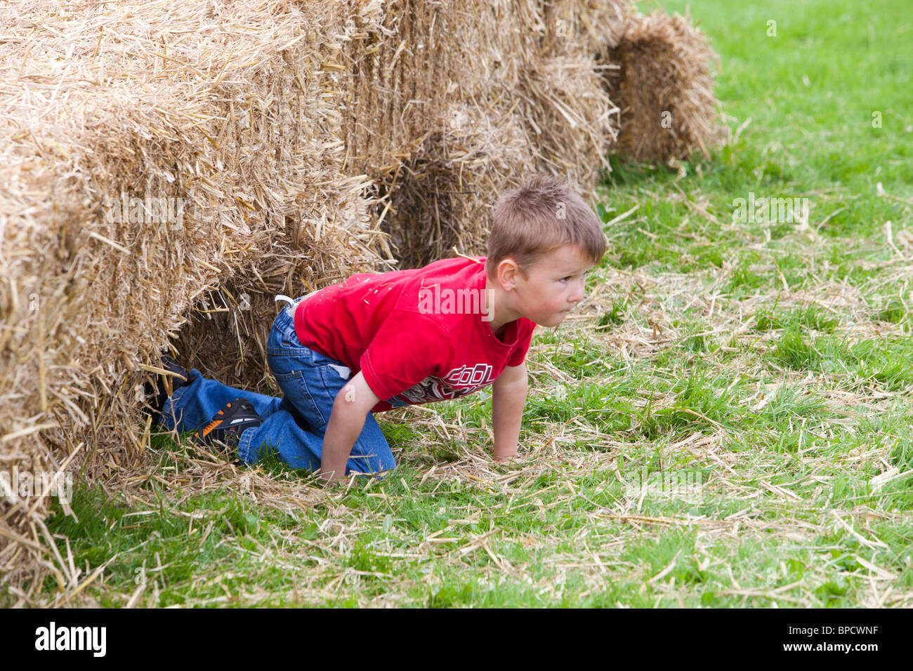 The children's obstacle race at the Rusland Vale Horticultural society annual show. Stock Photo