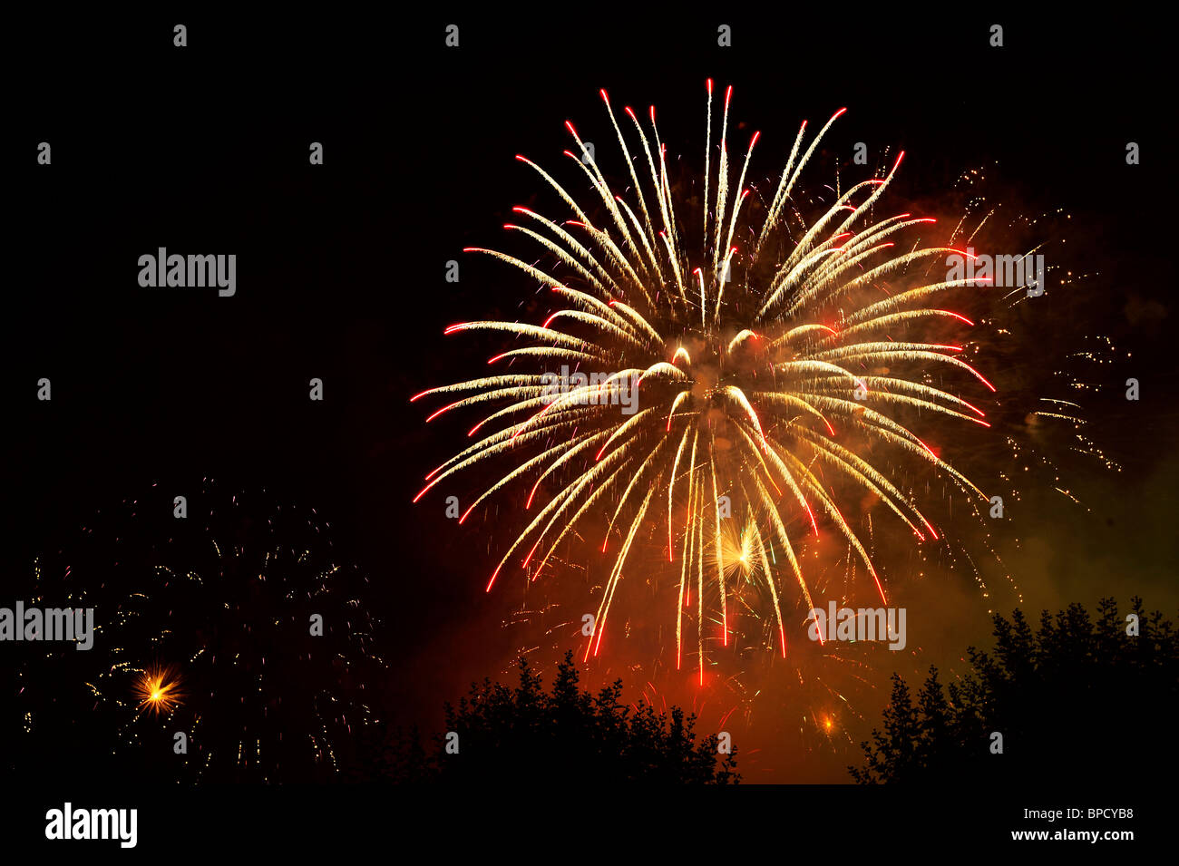 Firework bursts in the night sky, over trees (just visible). Space for text in the dark of the night sky. Stock Photo