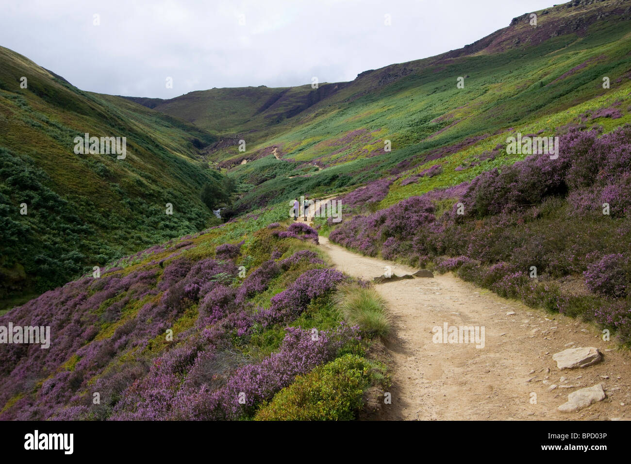 grindsbrook vale of edale derbyshire peak district national park england uk gb Stock Photo