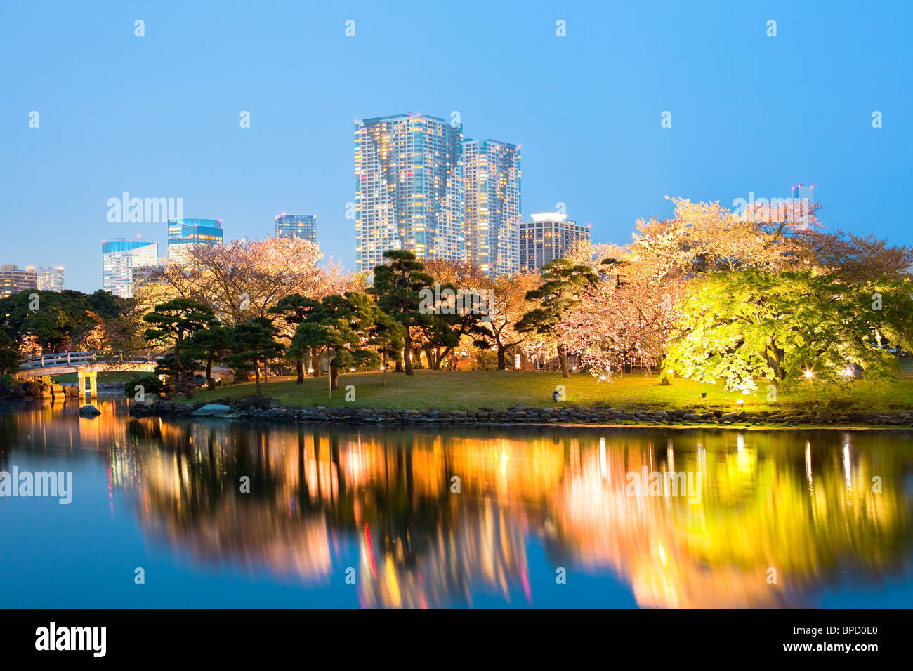 Cherry blossom at Hamarikyu (also Hama Rikyu) Gardens, Chuo Ward, Tokyo, Kanto Region, Honshu, Japan Stock Photo