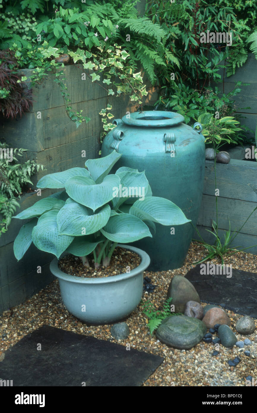 Blue hosta in matching blue pot & urn in shady spot with ferns in secret zen style garden soft harmonious colors on patio corner Stock Photo