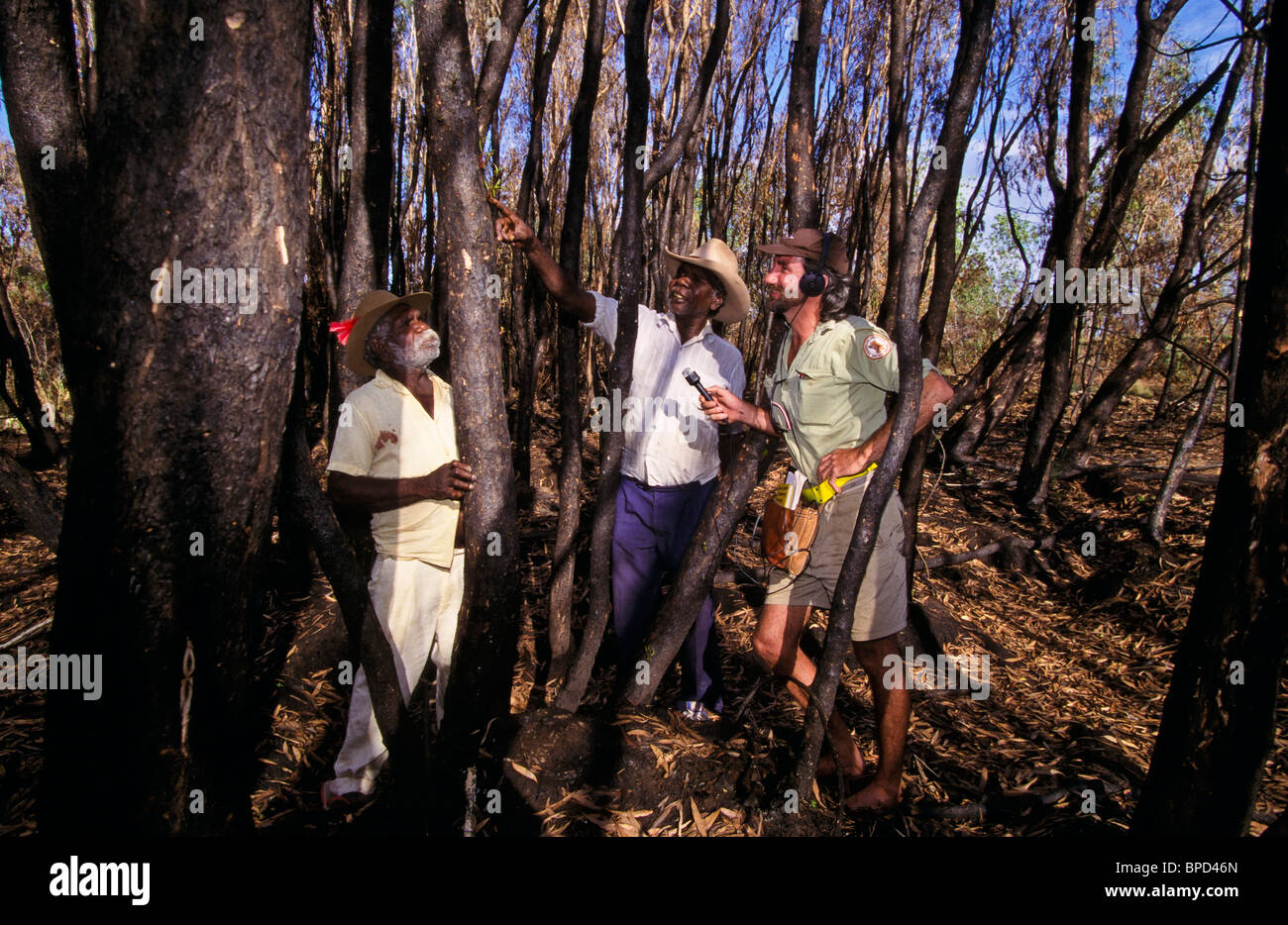 Ethnobotanist interviewing indigenous Australians, Australia Stock