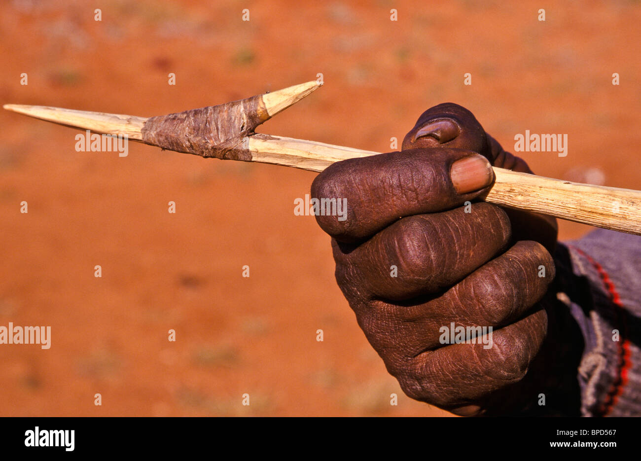 Spear made from spearvine, South Australia Stock Photo