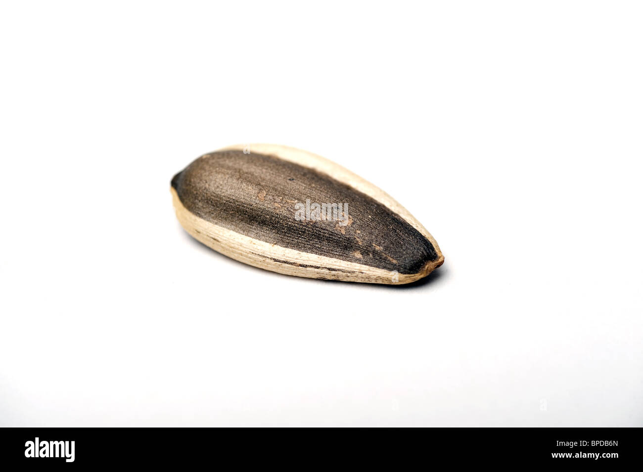 Unshelled seeds hires stock photography and images Alamy