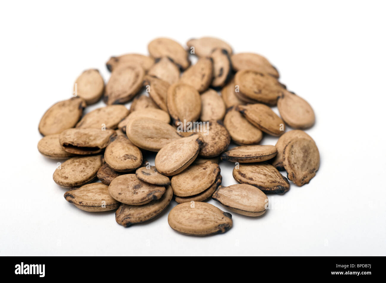 Roasted unshelled watermelon seeds On white Background Stock Photo Alamy