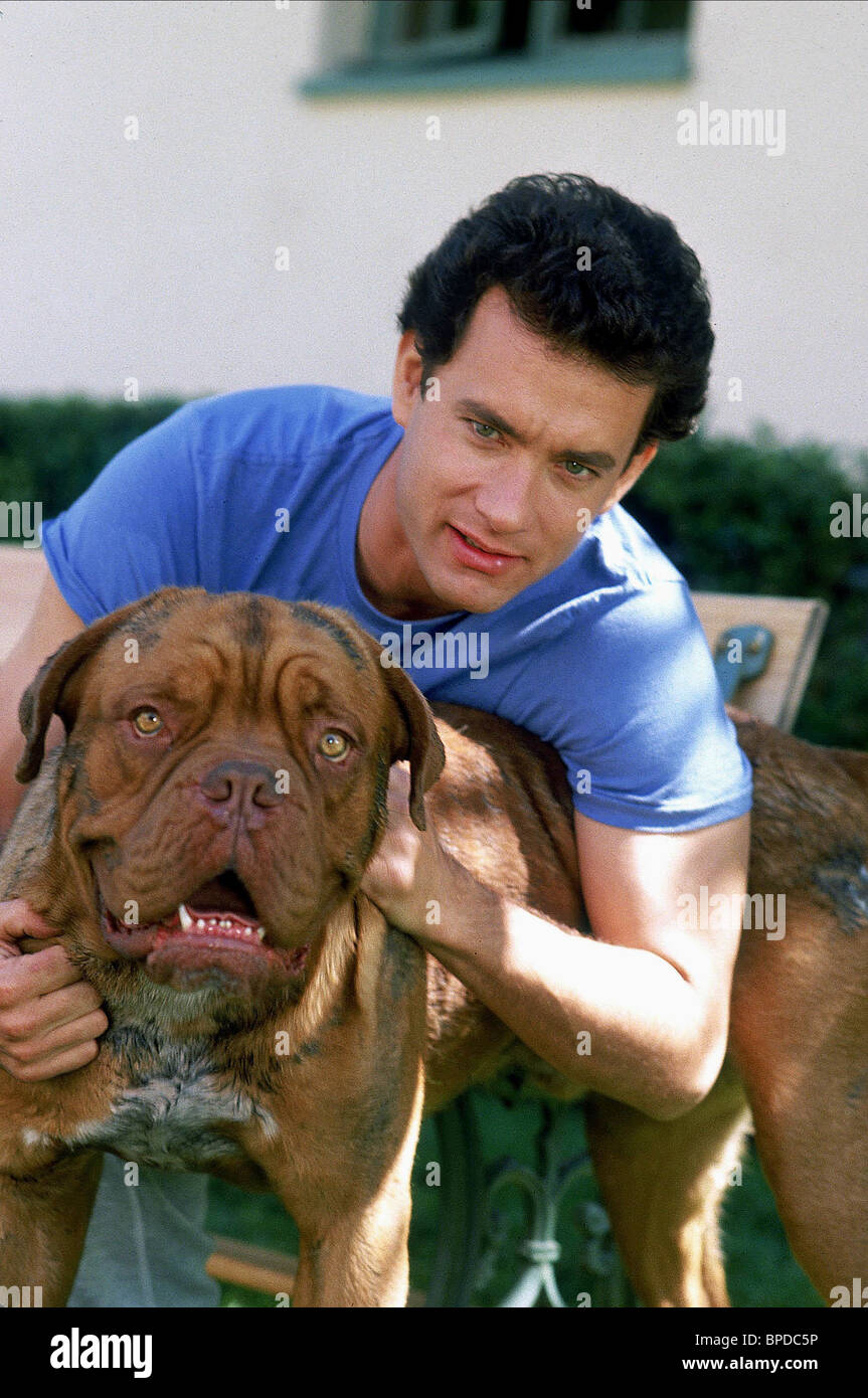 TOM HANKS, DOG, TURNER and HOOCH, 1989 Stock Photo - Alamy