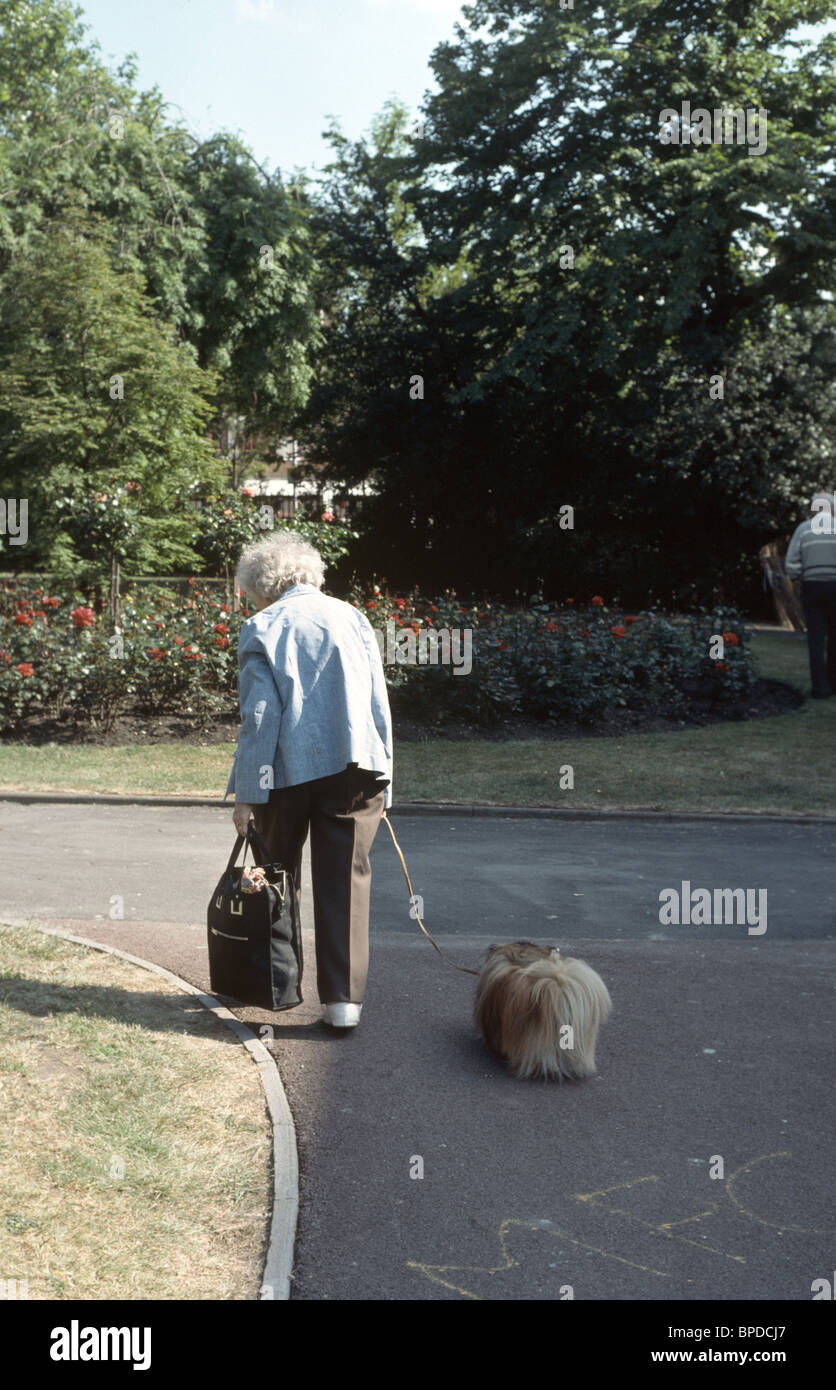 Lady with dog hi-res stock photography and images - Alamy