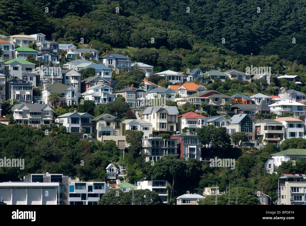 Houses  on hillside, Mount Victoria, Wellington, North Island, New Zealand Stock Photo