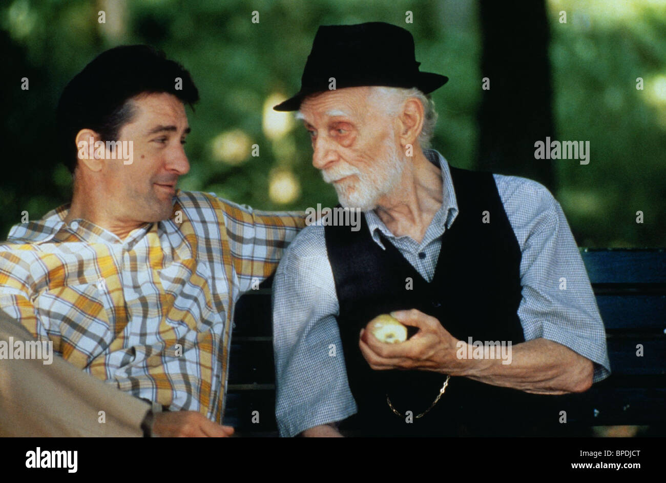 ROBERT DE NIRO & FEODOR CHALIAPIN JR. STANLEY & IRIS (1990 Stock Photo ...