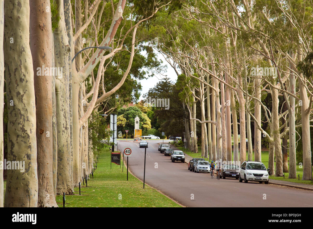 Fraser Avenue, Kings Park Gardens, Perth, Western Australia. Stock Photo