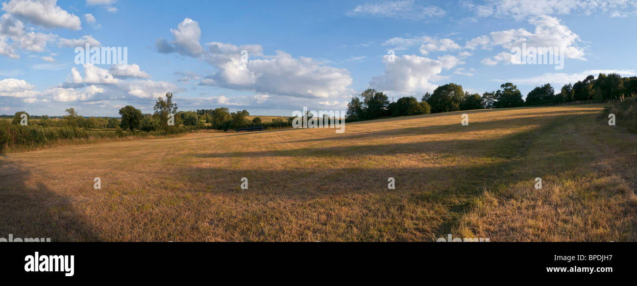 a field of crops after harvesting in the summer sunshine Stock Photo ...