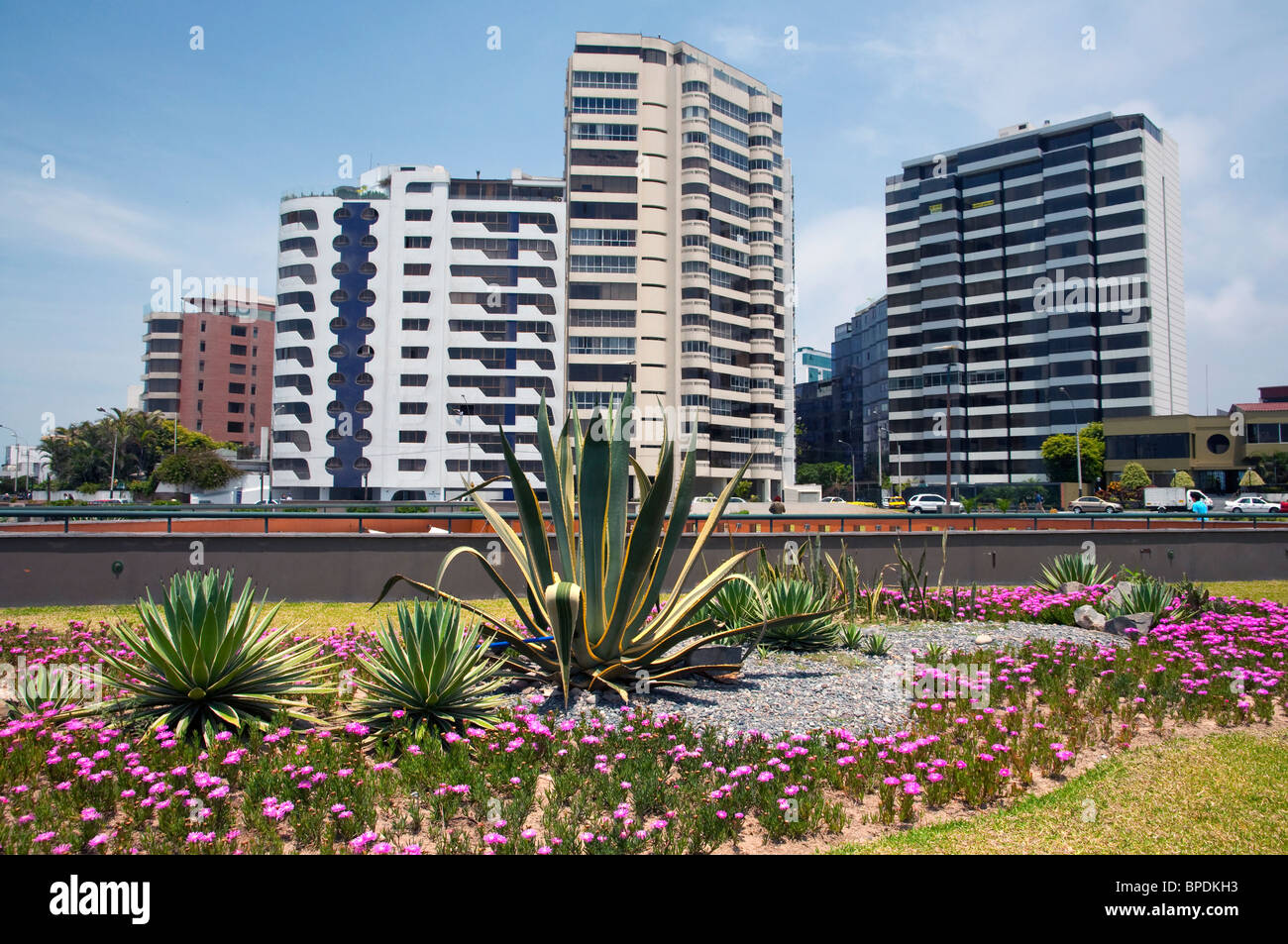Apartment buildings with flowers and agave plants near the