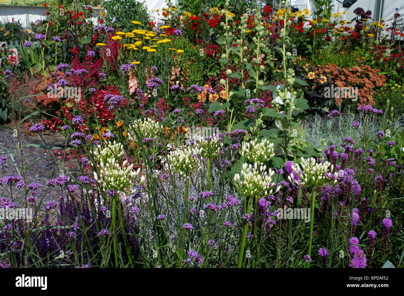 Colourful flowering border in summer with close up detail of the plants Stock Photo