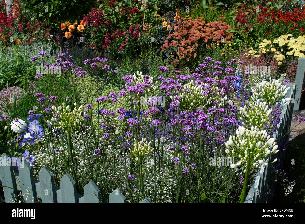 Colourful flowering border in summer with close up detail of the plants in a Cottage Garden Stock Photo