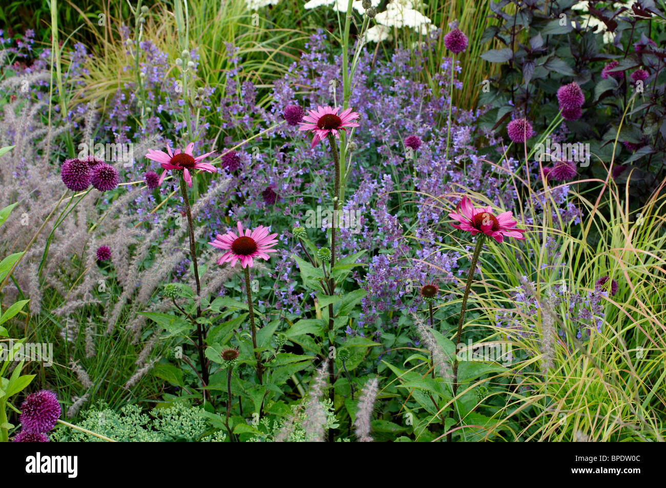 Colourful flowering border in summer with close up detail of the plants ...