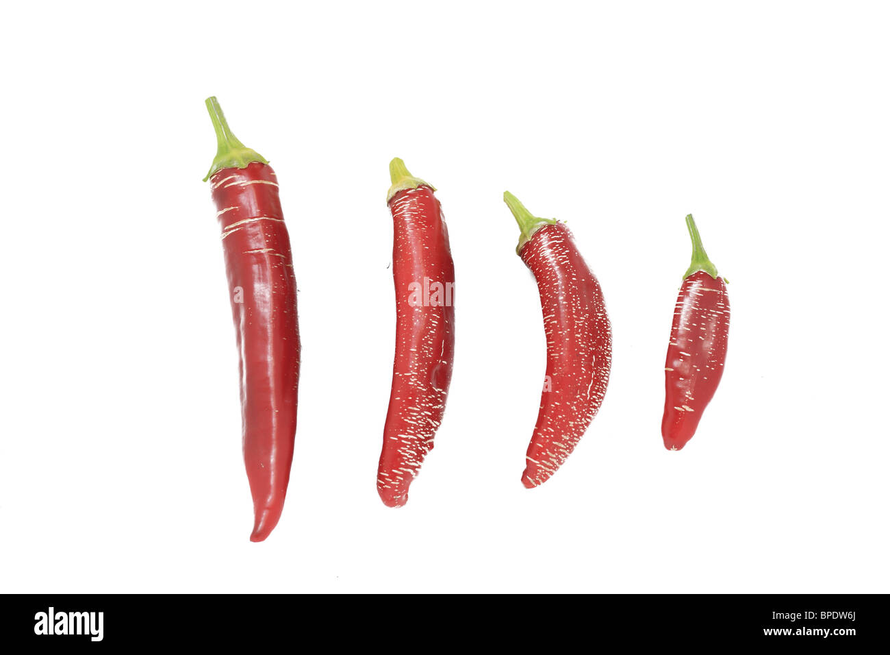 Chilly pepper hi-res stock photography and images - Alamy