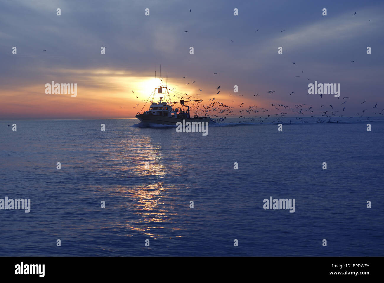 Fishing boat sunset birds hi-res stock photography and images - Alamy