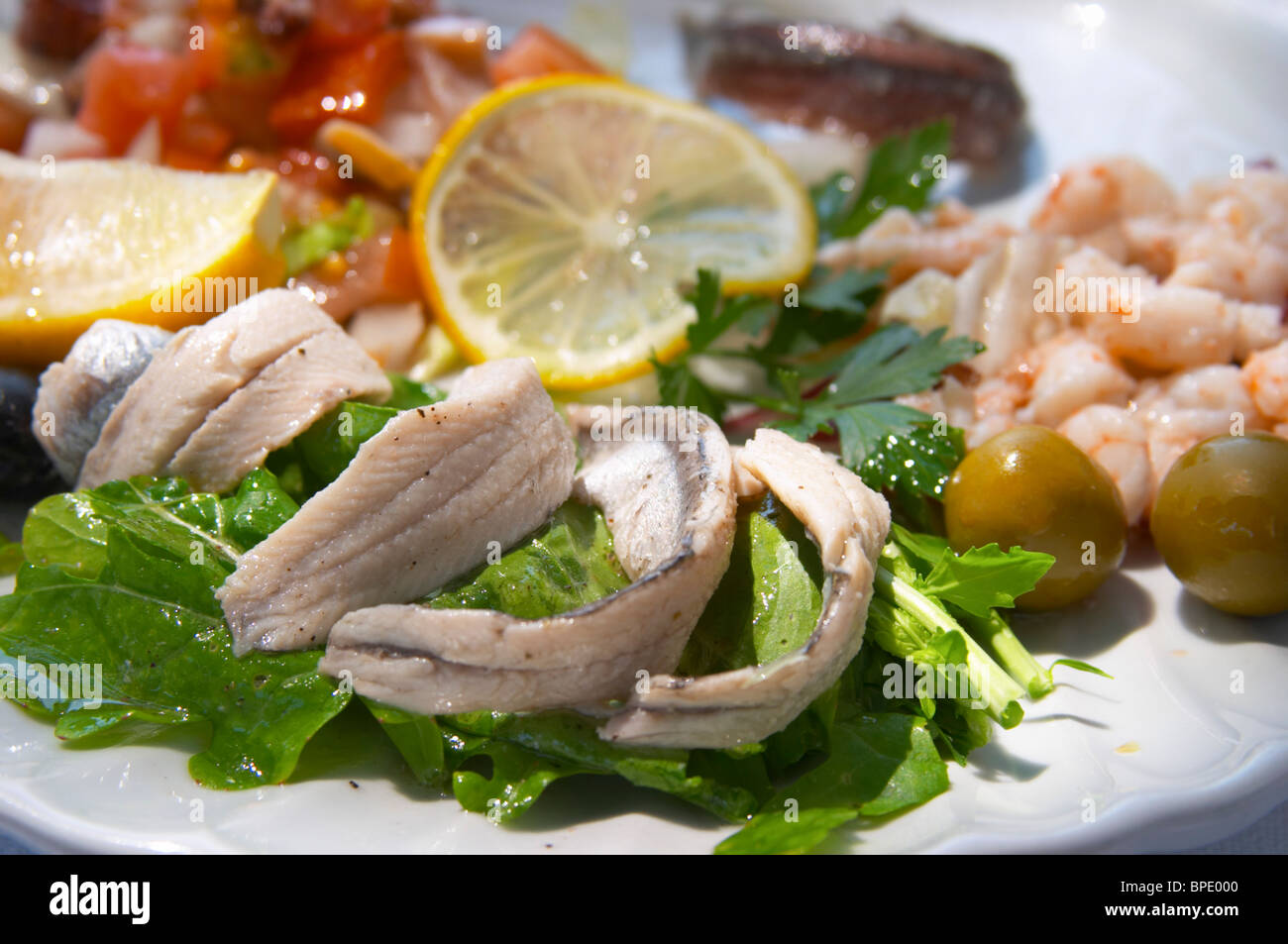 A salad dish with marinated anchovies and other seafood. Hotel and
