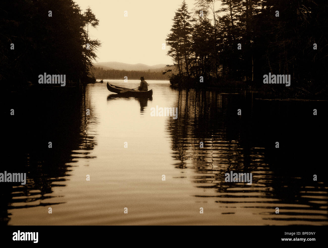 Tranquil lake scene with trees hi-res stock photography and images - Alamy