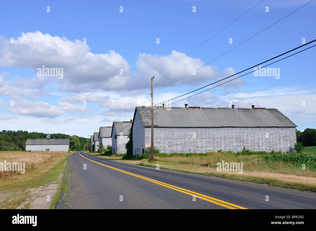 New England tobacco farm barns, Simsbury, Connecticut, USA Stock Photo