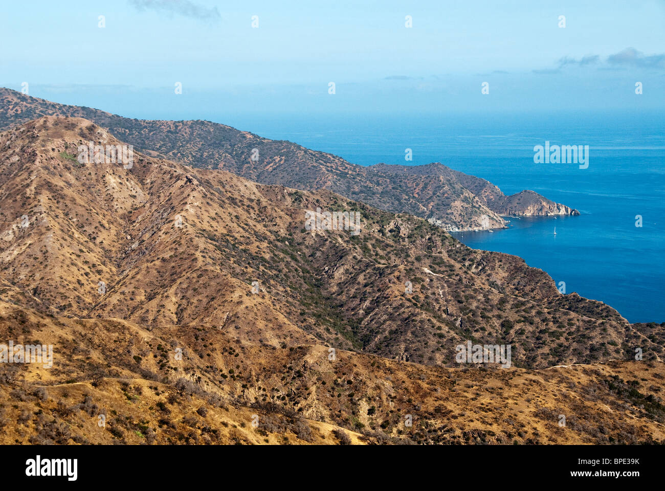 Island Scenery via Jeep Tour Catalina Island California USA Stock Photo