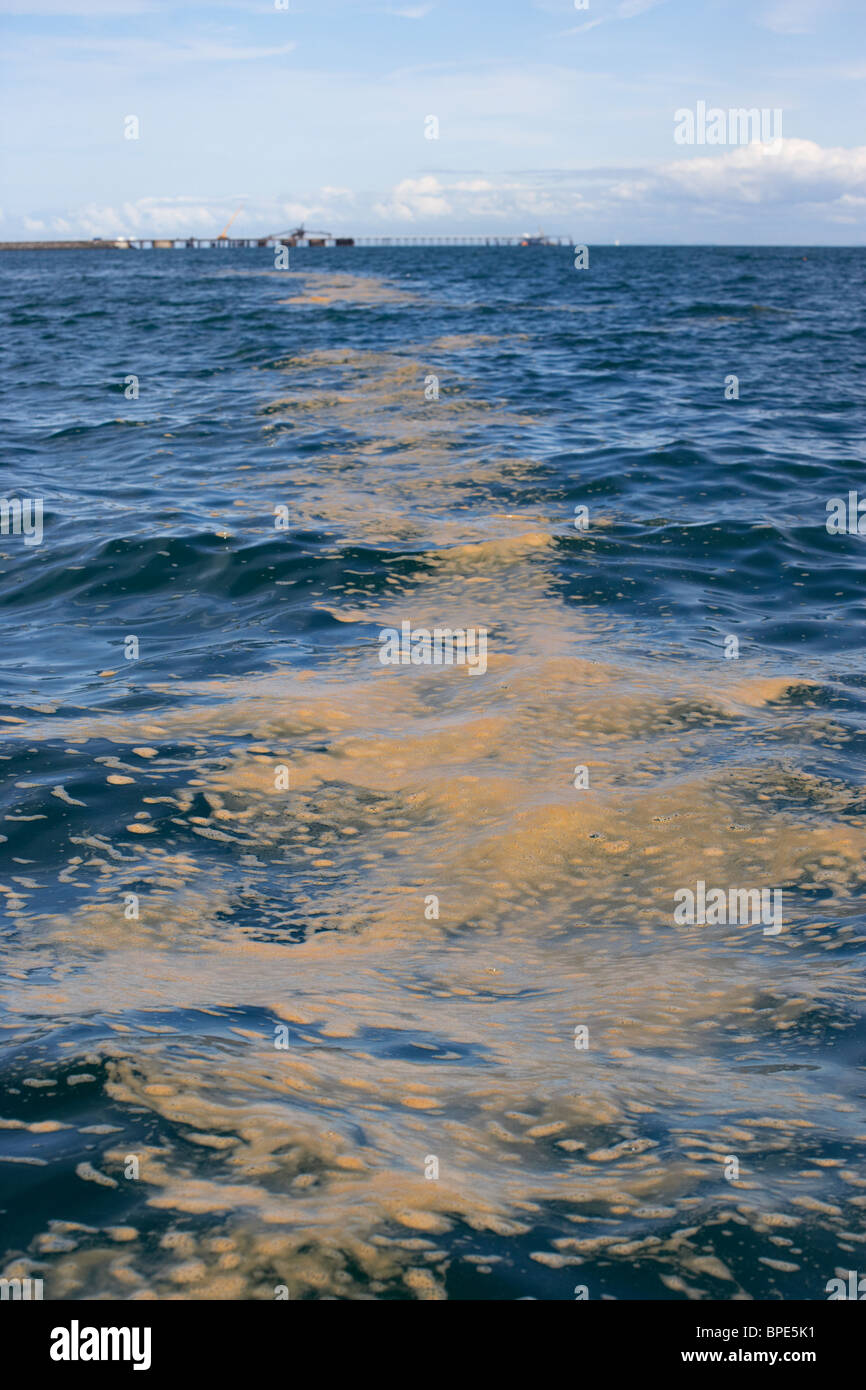 brown foam polllution streak on the surface of the sea in Belfast Lough Stock Photo